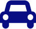 Auto Icon